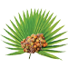 komponent