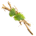 komponent